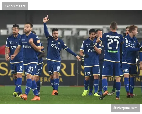 维罗纳防守漏洞频现 失球数联赛前列